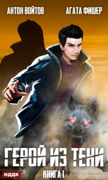 Герой из тени. Книга 1 (ИДДК)